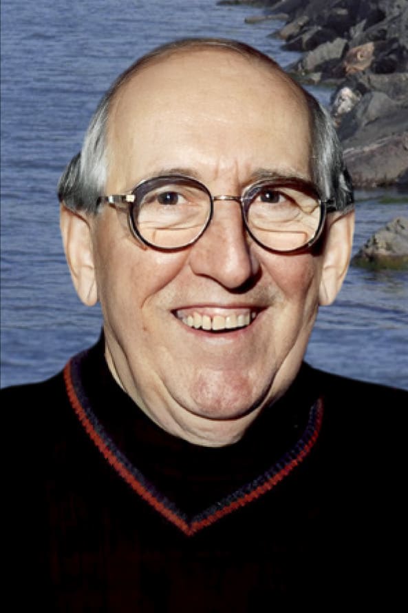 M. André Pellerin